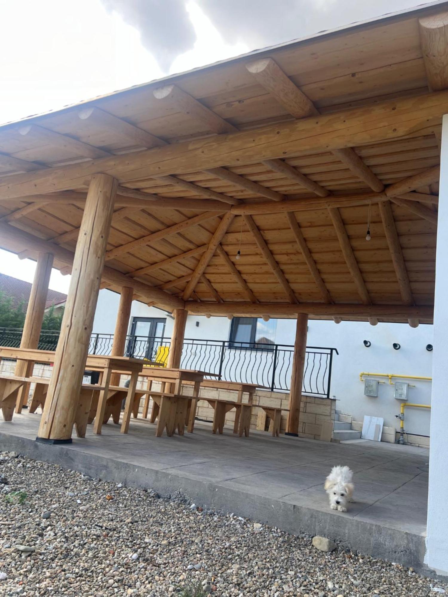 Villa Class Sînmartin Esterno foto
